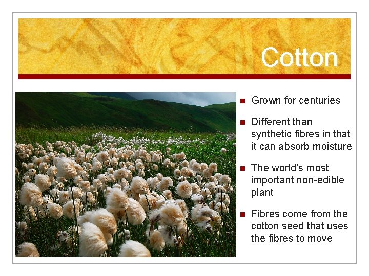 Cotton n Grown for centuries n Different than synthetic fibres in that it can