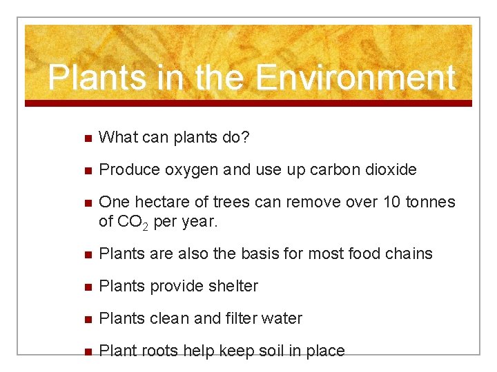 Plants in the Environment n What can plants do? n Produce oxygen and use