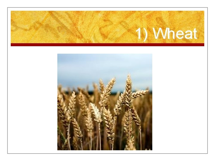 1) Wheat 