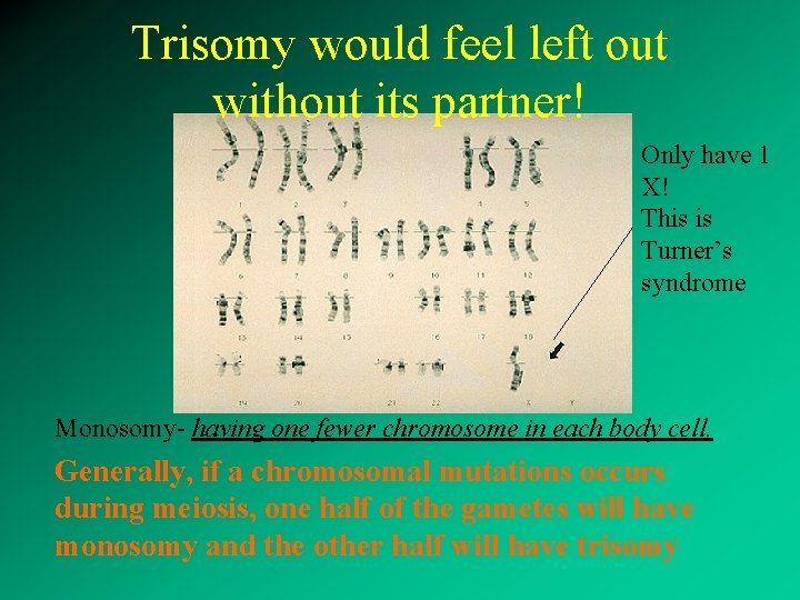 Trisomy would feel left out without its partner! Only have 1 X! This is