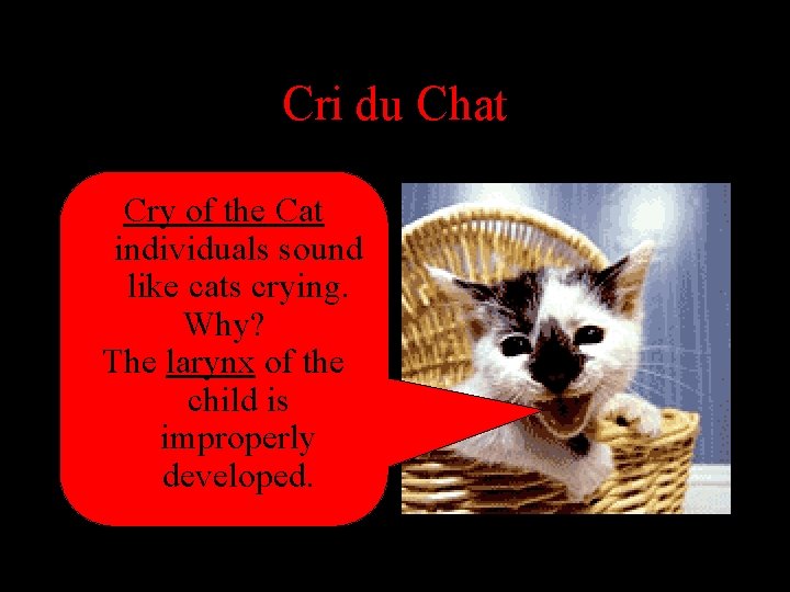 Cri du Chat Cry of the Cat individuals sound like cats crying. Why? The