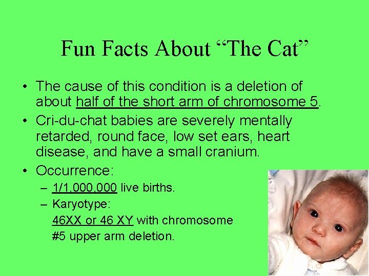 Fun Facts About “The Cat” • The cause of this condition is a deletion