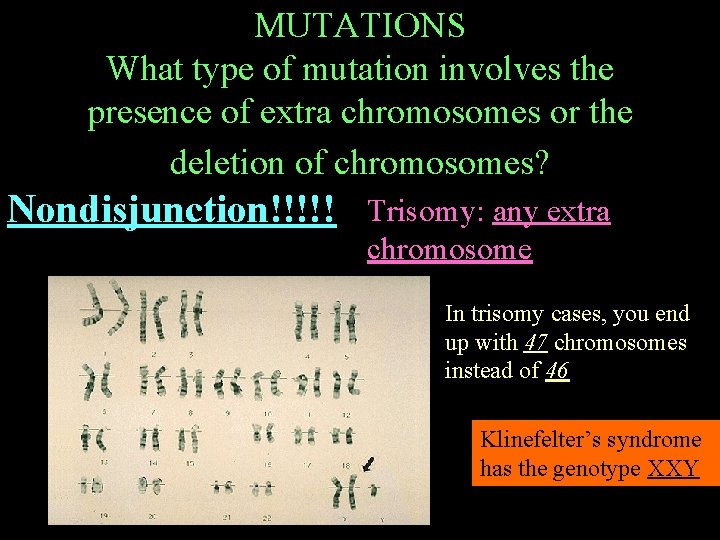 MUTATIONS What type of mutation involves the presence of extra chromosomes or the deletion