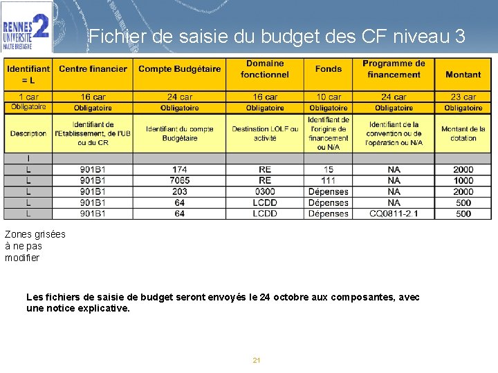 Fichier de saisie du budget des CF niveau 3 Zones grisées à ne pas
