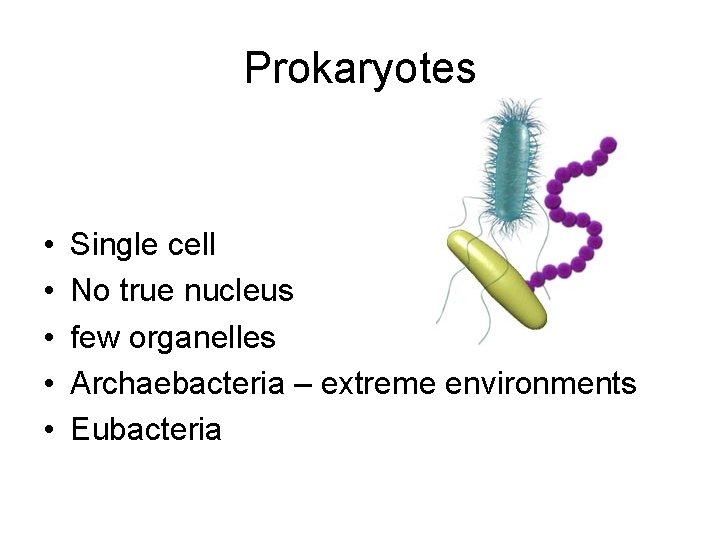 Prokaryotes • • • Single cell No true nucleus few organelles Archaebacteria – extreme