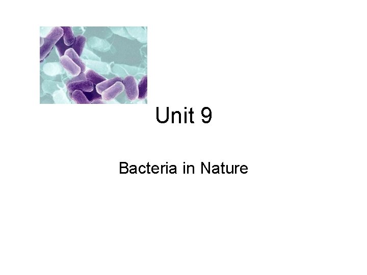 Unit 9 Bacteria in Nature 