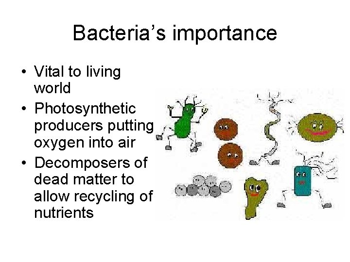 Bacteria’s importance • Vital to living world • Photosynthetic producers putting oxygen into air