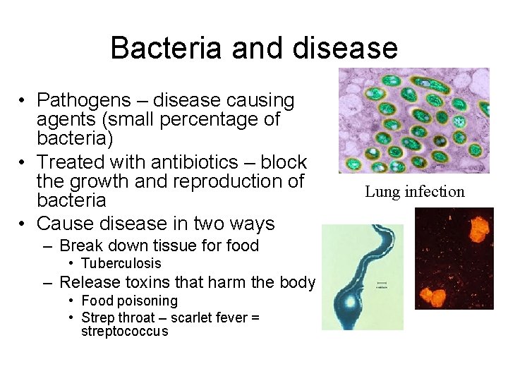Bacteria and disease • Pathogens – disease causing agents (small percentage of bacteria) •