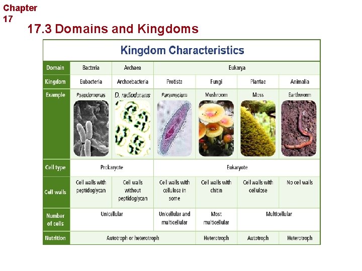 Chapter 17 Organizing Life’s Diversity 17. 3 Domains and Kingdoms 