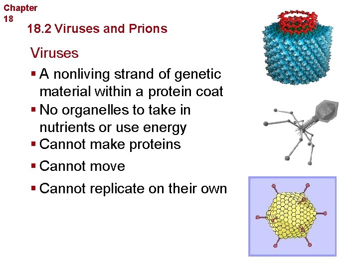 Chapter 18 Bacteria and Viruses 18. 2 Viruses and Prions Viruses § A nonliving