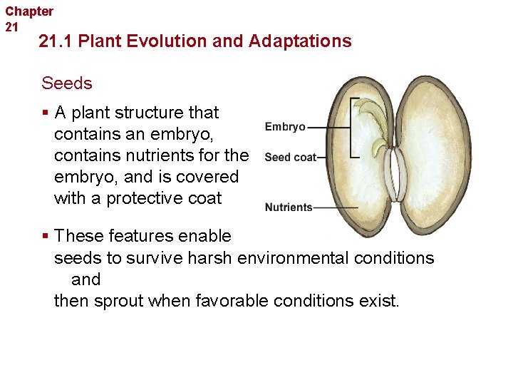 Chapter 21 Introduction to Plants 21. 1 Plant Evolution and Adaptations Seeds § A