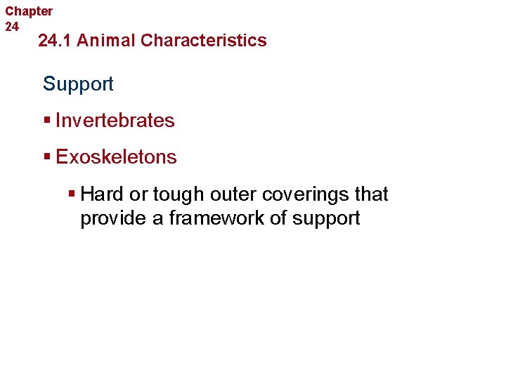 Chapter 24 Introduction to Animals 24. 1 Animal Characteristics Support § Invertebrates § Exoskeletons