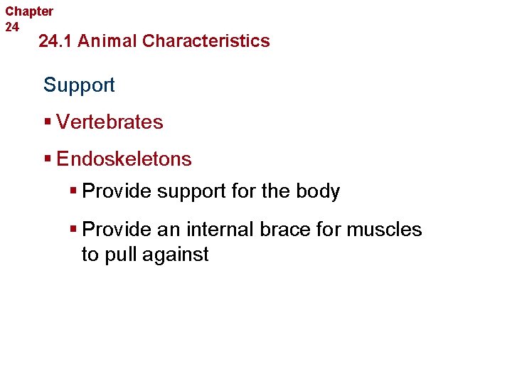 Chapter 24 Introduction to Animals 24. 1 Animal Characteristics Support § Vertebrates § Endoskeletons