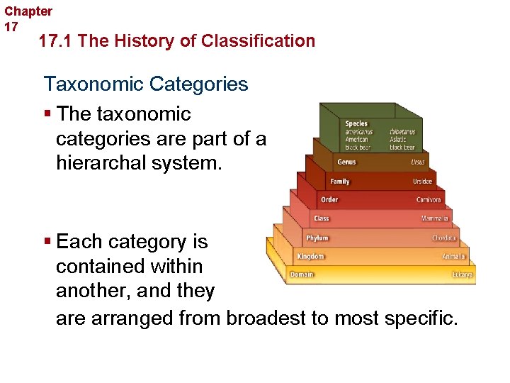 Chapter 17 Organizing Life’s Diversity 17. 1 The History of Classification Taxonomic Categories §