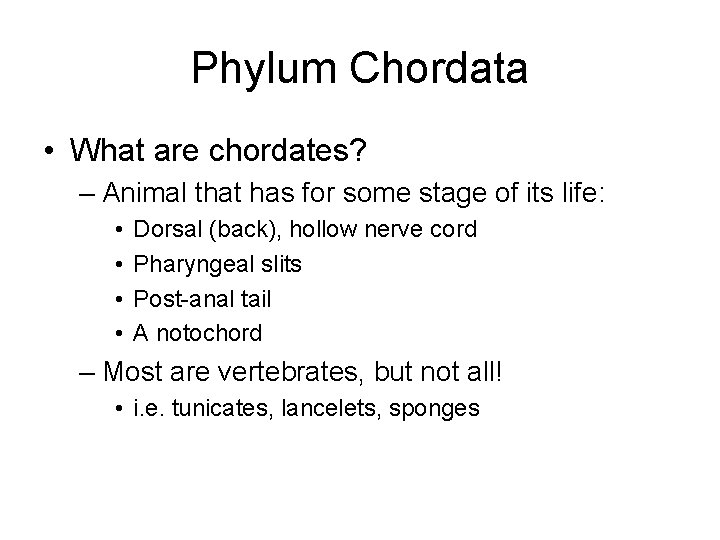 Phylum Chordata • What are chordates? – Animal that has for some stage of