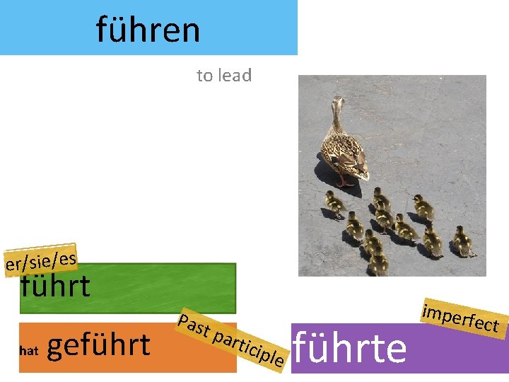 führen to lead er/sie/es führt hat geführt Pas t pa rtic iple führte imper