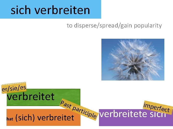 sich verbreiten to disperse/spread/gain popularity er/sie/es verbreitet hat Pas t pa (sich) verbreitet rtic