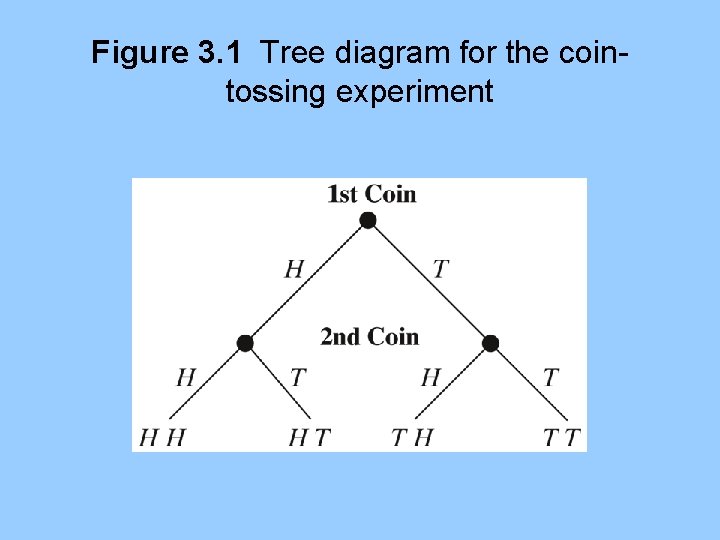 Figure 3. 1 Tree diagram for the cointossing experiment 