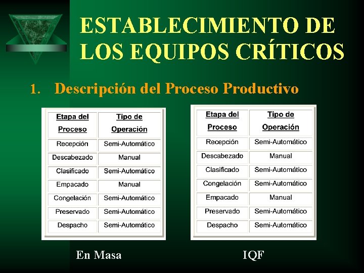 ESTABLECIMIENTO DE LOS EQUIPOS CRÍTICOS 1. Descripción del Proceso Productivo En Masa IQF 