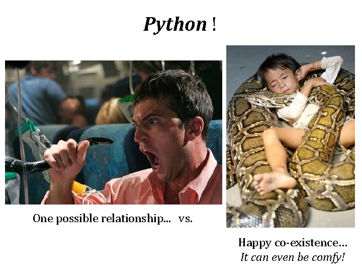 Python ! One possible relationship. . . vs. Happy co-existence… It can even be