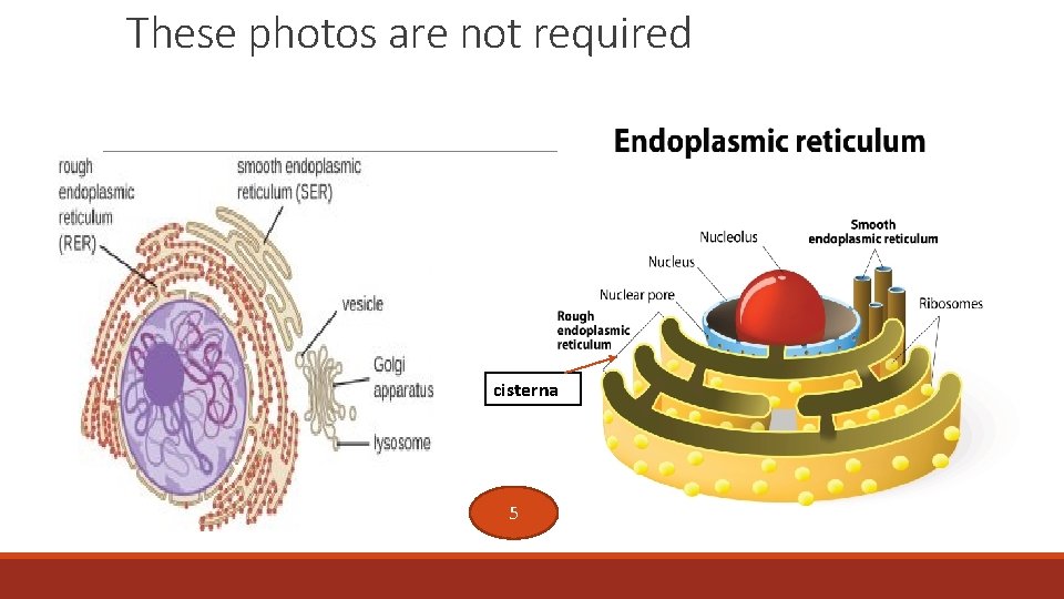 These photos are not required cisterna 5 