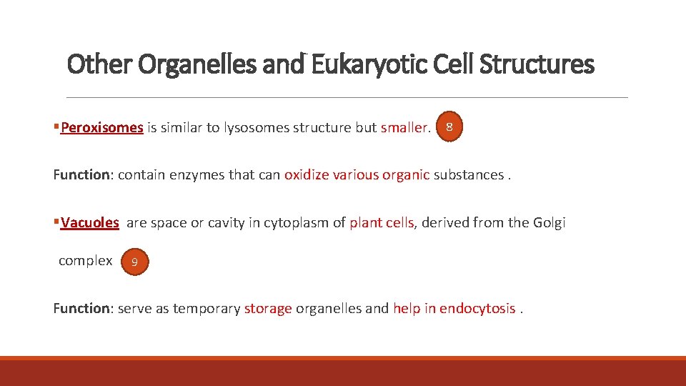 Other Organelles and Eukaryotic Cell Structures §Peroxisomes is similar to lysosomes structure but smaller.