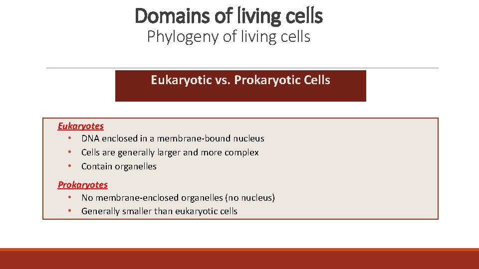 Domains of living cells Phylogeny of living cells Eukaryotic vs. Prokaryotic Cells Eukaryotes •