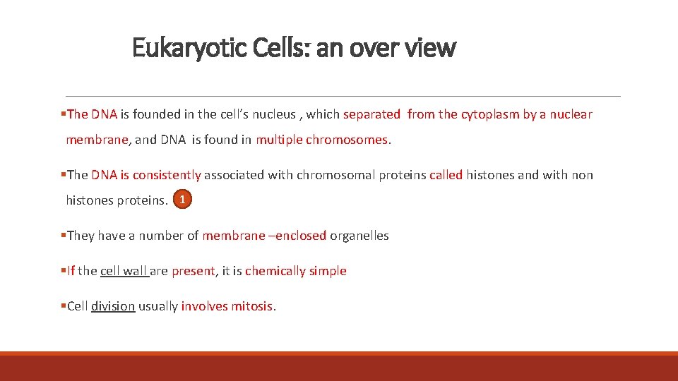 Eukaryotic Cells: an over view §The DNA is founded in the cell’s nucleus ,