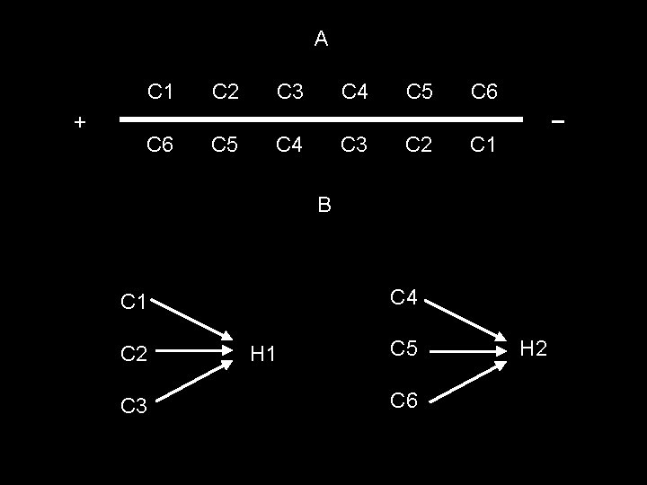 A + C 1 C 2 C 3 C 4 C 5 C 6