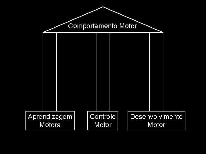 Comportamento Motor Aprendizagem Motora Controle Motor Desenvolvimento Motor 
