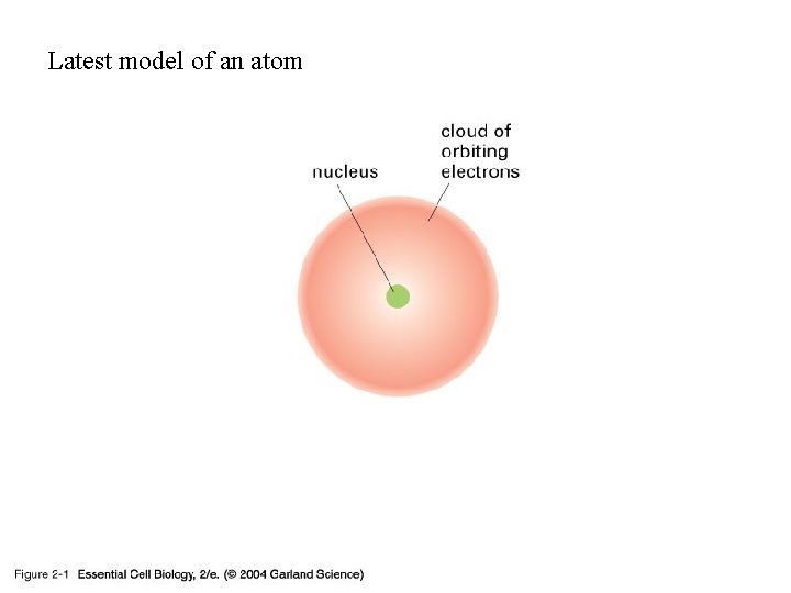 Latest model of an atom 02_01_atom. jpg 