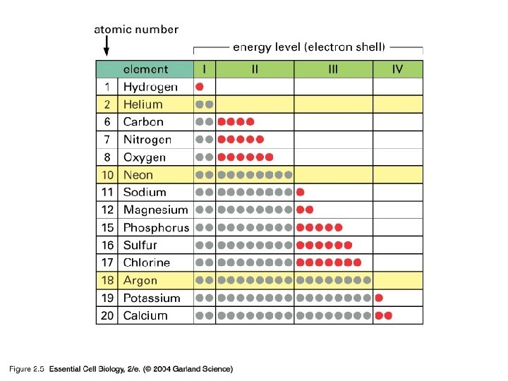 02_05_chemical reactivity. jpg 