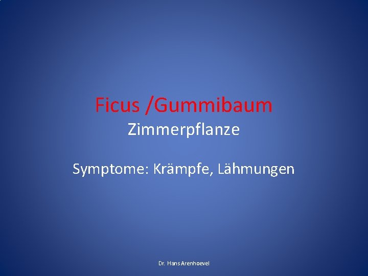 Ficus /Gummibaum Zimmerpflanze Symptome: Krämpfe, Lähmungen Dr. Hans Arenhoevel 