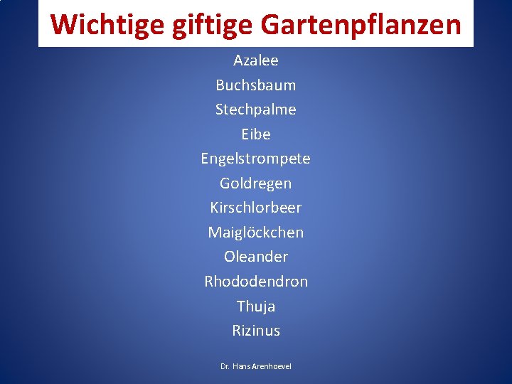 Wichtige giftige Gartenpflanzen Azalee Buchsbaum Stechpalme Eibe Engelstrompete Goldregen Kirschlorbeer Maiglöckchen Oleander Rhododendron Thuja Wichtige giftige Gartenpflanzen Azalee Buchsbaum Stechpalme Eibe Engelstrompete Goldregen Kirschlorbeer Maiglöckchen Oleander Rhododendron Thuja