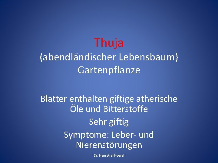 Thuja (abendländischer Lebensbaum) Gartenpflanze Blätter enthalten giftige ätherische Öle und Bitterstoffe Sehr giftig Symptome: