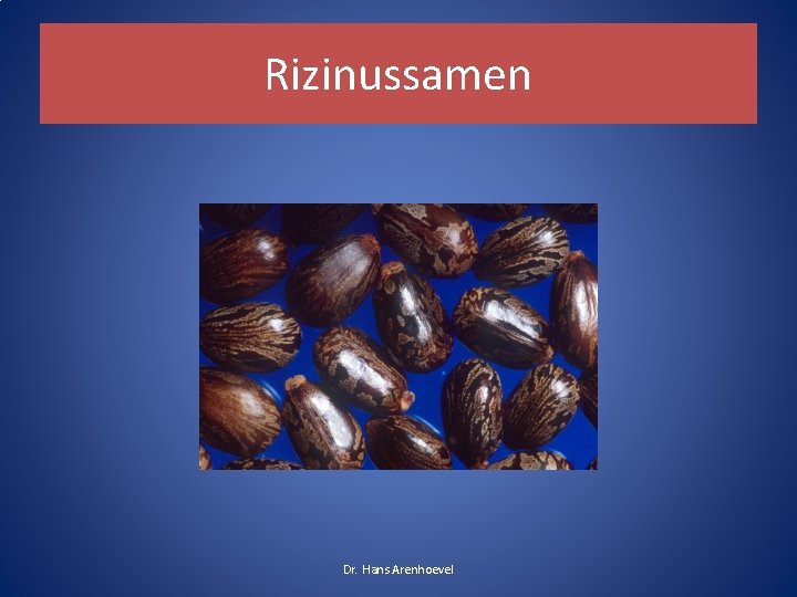 Rizinussamen Dr. Hans Arenhoevel 