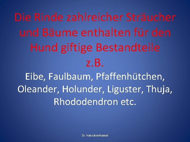 Die Rinde zahlreicher Sträucher und Bäume enthalten für den Hund giftige Bestandteile z. B. Die Rinde zahlreicher Sträucher und Bäume enthalten für den Hund giftige Bestandteile z. B.