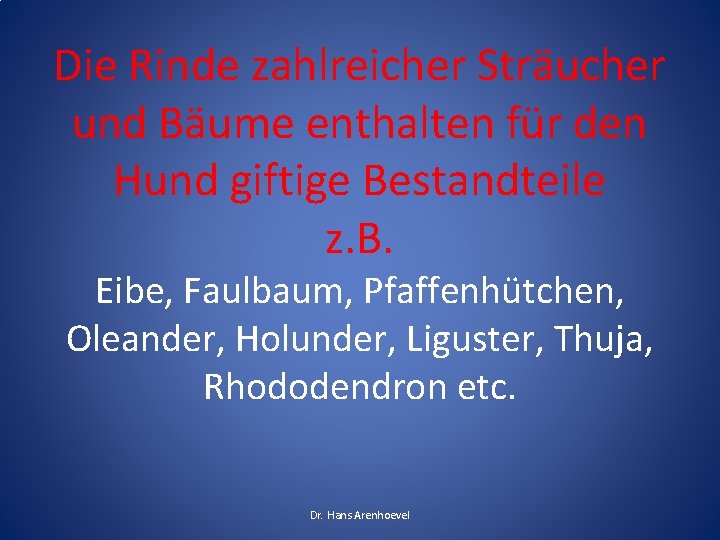 Die Rinde zahlreicher Sträucher und Bäume enthalten für den Hund giftige Bestandteile z. B.