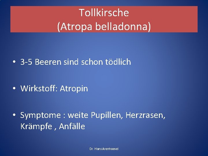 Tollkirsche (Atropa belladonna) • 3 -5 Beeren sind schon tödlich • Wirkstoff: Atropin •