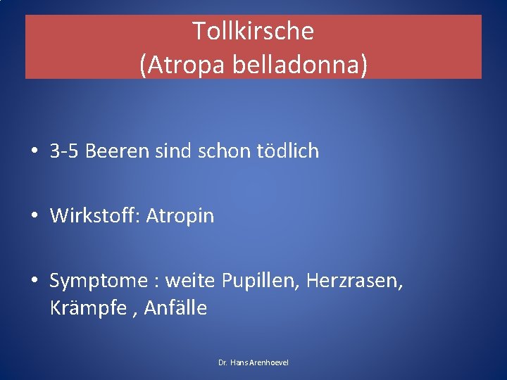 Tollkirsche (Atropa belladonna) • 3 -5 Beeren sind schon tödlich • Wirkstoff: Atropin • Tollkirsche (Atropa belladonna) • 3 -5 Beeren sind schon tödlich • Wirkstoff: Atropin •