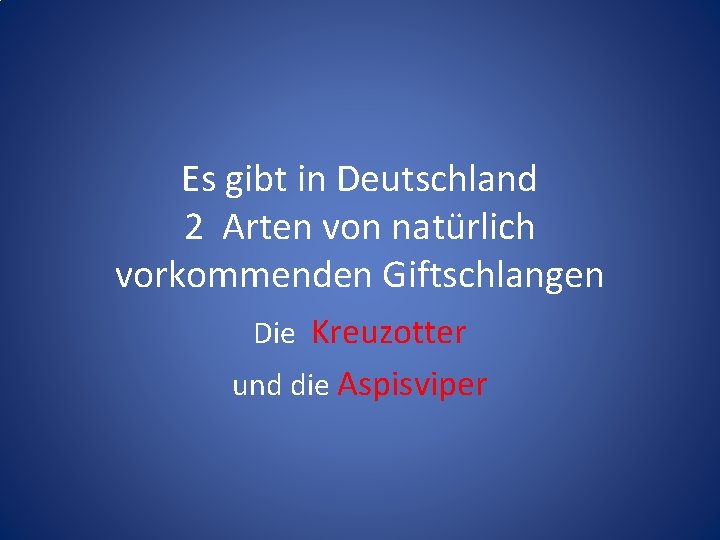 Es gibt in Deutschland 2 Arten von natürlich vorkommenden Giftschlangen Die Kreuzotter und die Es gibt in Deutschland 2 Arten von natürlich vorkommenden Giftschlangen Die Kreuzotter und die