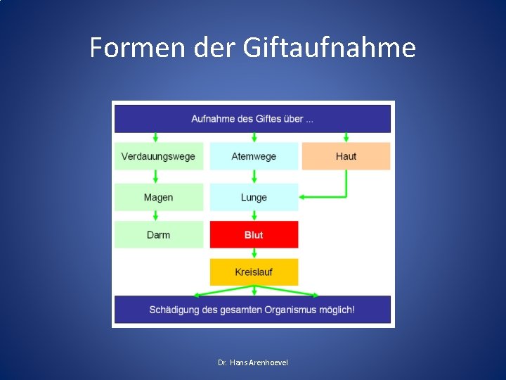 Formen der Giftaufnahme Dr. Hans Arenhoevel 