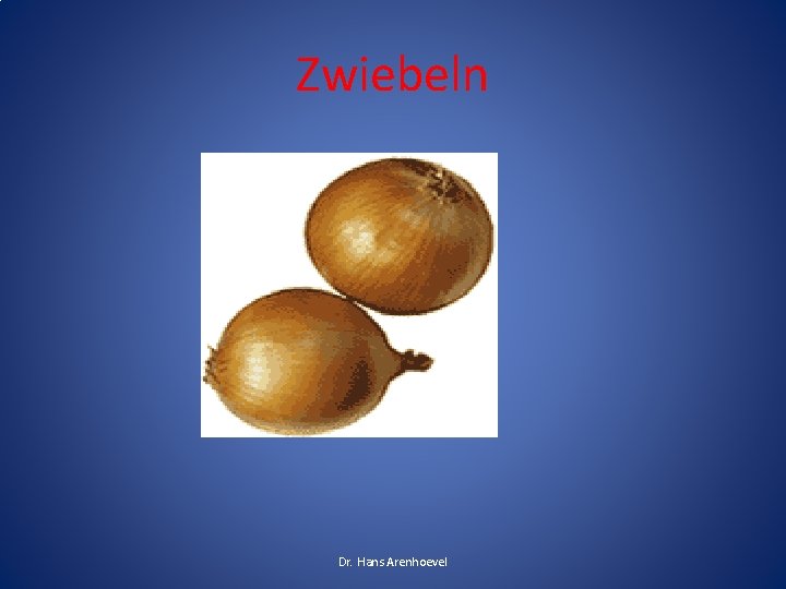 Zwiebeln Dr. Hans Arenhoevel Zwiebeln Dr. Hans Arenhoevel
