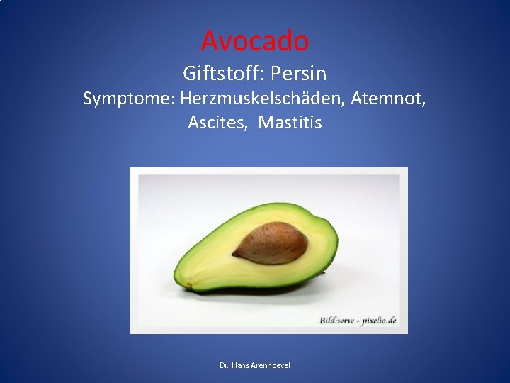 Avocado Giftstoff: Persin Symptome: Herzmuskelschäden, Atemnot, Ascites, Mastitis Dr. Hans Arenhoevel 