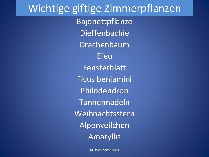Wichtige giftige Zimmerpflanzen Bajonettpflanze Dieffenbachie Drachenbaum Efeu Fensterblatt Ficus benjamini Philodendron Tannennadeln Weihnachtsstern Alpenveilchen Wichtige giftige Zimmerpflanzen Bajonettpflanze Dieffenbachie Drachenbaum Efeu Fensterblatt Ficus benjamini Philodendron Tannennadeln Weihnachtsstern Alpenveilchen