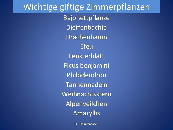 Wichtige giftige Zimmerpflanzen Bajonettpflanze Dieffenbachie Drachenbaum Efeu Fensterblatt Ficus benjamini Philodendron Tannennadeln Weihnachtsstern Alpenveilchen