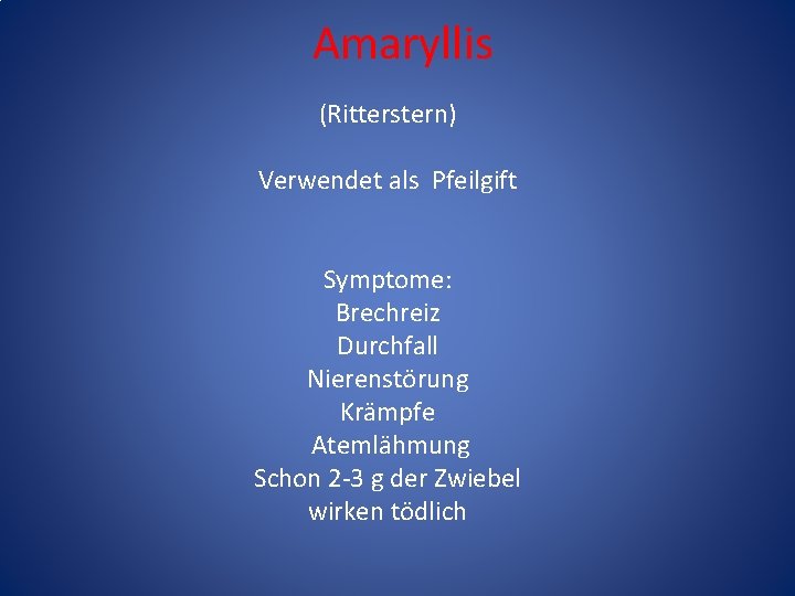 Amaryllis (Ritterstern) Verwendet als Pfeilgift Symptome: Brechreiz Durchfall Nierenstörung Krämpfe Atemlähmung Schon 2 -3