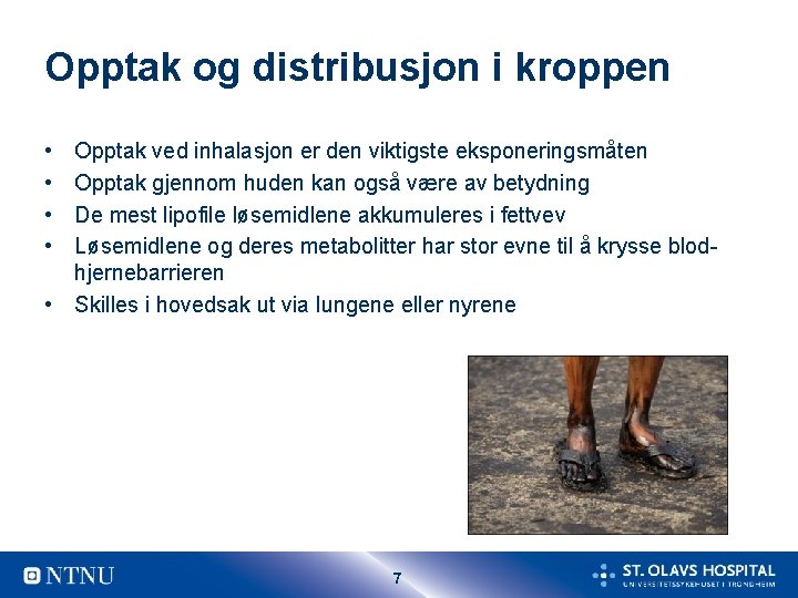 Opptak og distribusjon i kroppen • • Opptak ved inhalasjon er den viktigste eksponeringsmåten