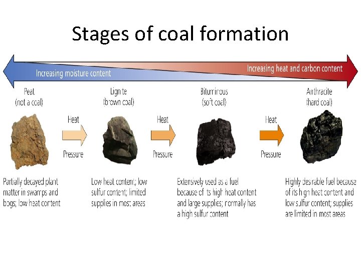 Stages of coal formation 