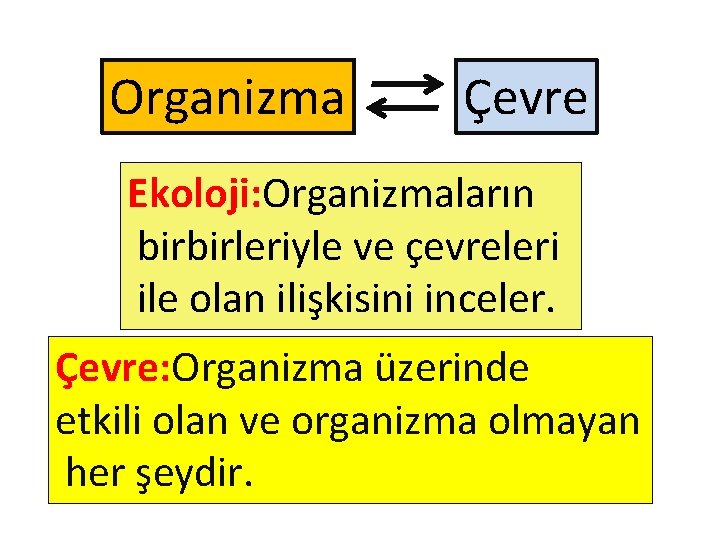 Organizma Çevre Ekoloji: Organizmaların birbirleriyle ve çevreleri ile olan ilişkisini inceler. Çevre: Organizma üzerinde